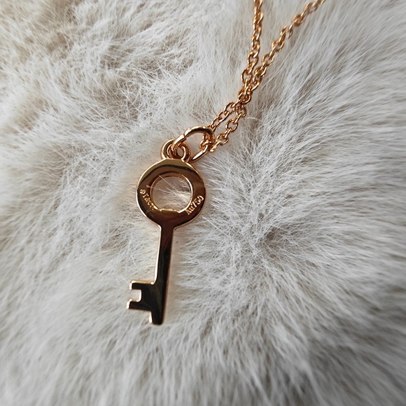 Tiffany & Co. Key Pendant Necklace - Picture 3 of 5
